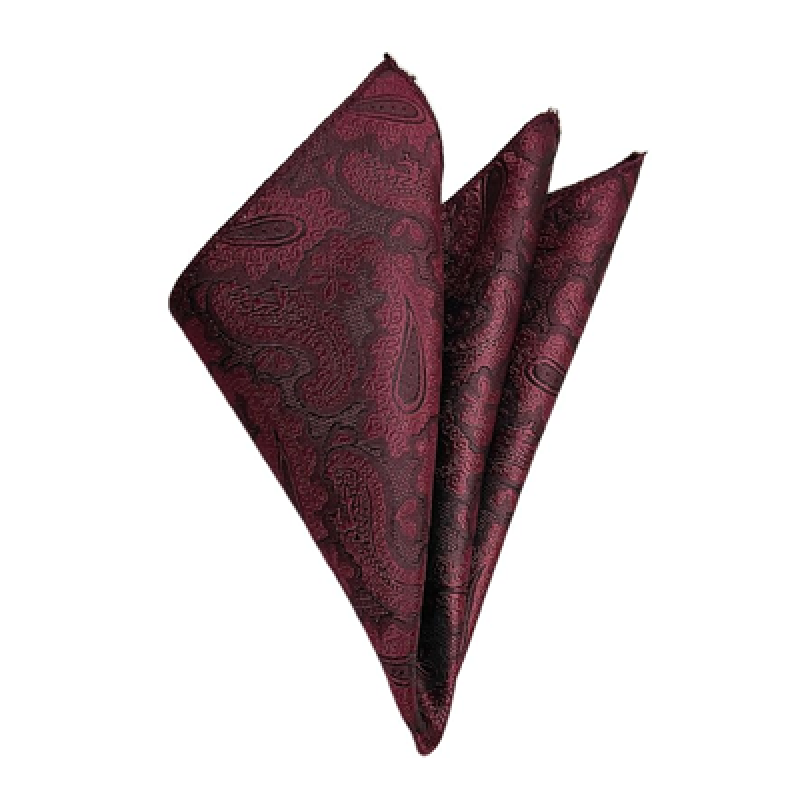 France Men's Designer Pocket Square Paisley Satin Microfiber Free Size
