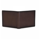 Men Brown Solid Leather Wallet