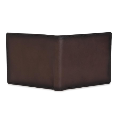 Men Brown Solid Leather Wallet