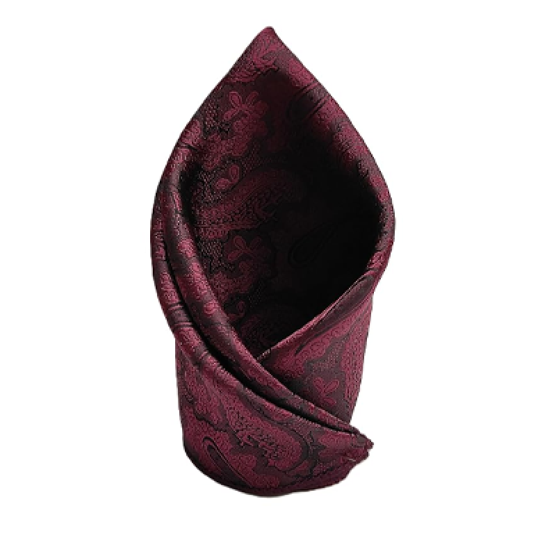 France Men's Designer Pocket Square Paisley Satin Microfiber Free Size