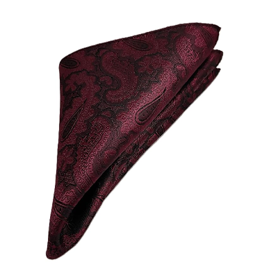 France Men's Designer Pocket Square Paisley Satin Microfiber Free Size